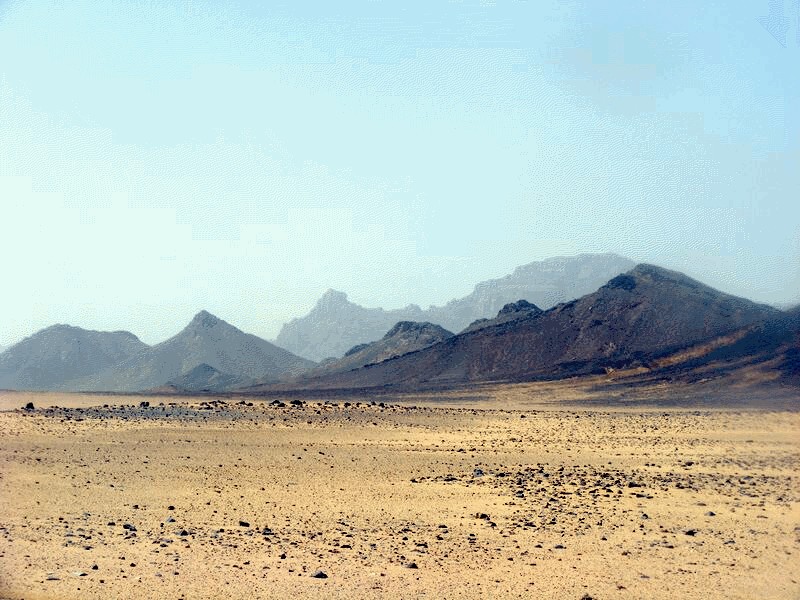 arkenua1