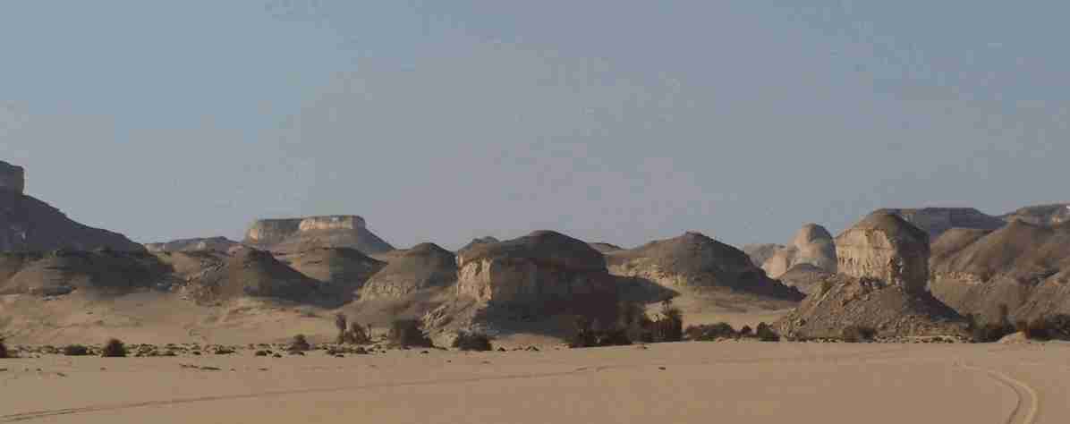 egyptea13.jpg